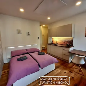 https://apartment-gold.hotels-in-ljubljana.com
