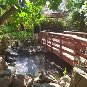 https://lotus-turtle-garden-eilat.eilathotels.net